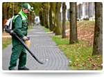 worker with leafblower